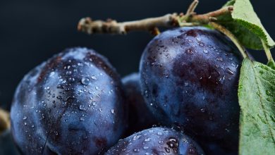 Švestka – kalorie (kcal i kJ), vitamíny, minerály a recepty