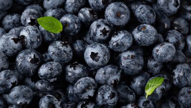 Borůvky – kalorie (kcal i kJ), vitamíny, minerály a recepty