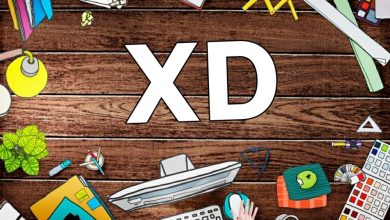 Co znamená XD