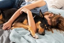 Co znamená, když pes spí u hlavy