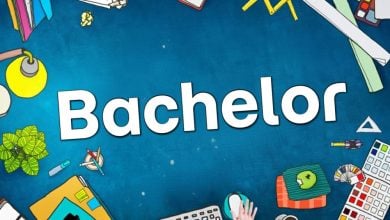 Co znamená Bachelor